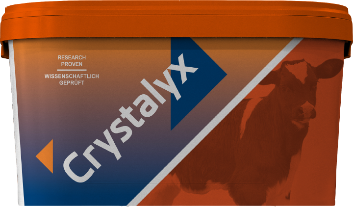 CRYSTALYX Mentholyx (Orange)